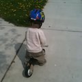 vid_nicholas_bike.avi