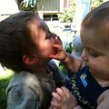 IMG_1235.jpg
