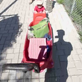 vid_nicholas_push.png