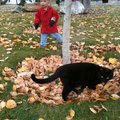 IMG_1490.jpg