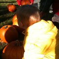 IMG_1524.jpg