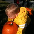IMG_1527.jpg