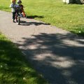vid_bikes.avi