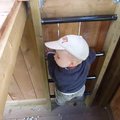 vid_nicholas_climbs_ladder.avi