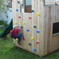 vid_oliver_climbs_wall.avi