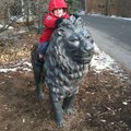 IMG_1538.jpg