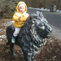 IMG_1542.jpg