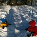 IMG_1580.jpg