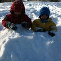 IMG_1582.jpg