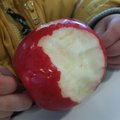 IMG_1590.jpg