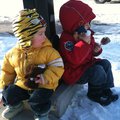 IMG_1594.jpg