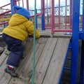 P1080218.jpg