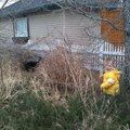 IMG_1634.jpg