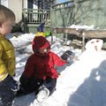 IMG_7685.jpg