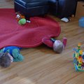 P1080690.jpg