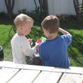 IMG_7773.jpg
