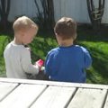 vid_sharingbubbles.avi