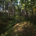 P9161320.jpg