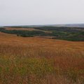 P9161402.jpg