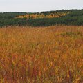 P9161420.jpg