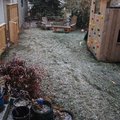 PA200332.jpg