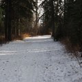 PB040841.jpg