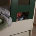 PC251990.jpg