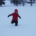 PC262001.jpg