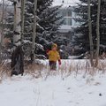 PC262025.jpg