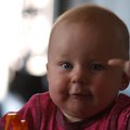 P6299100.jpg