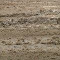 road slush.jpg