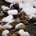 stream rocks.jpg
