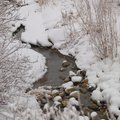 stream.jpg