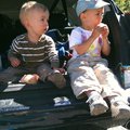 IMG_1292.jpg