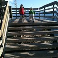 IMG_1448.jpg