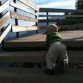 IMG_1454.jpg