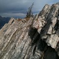 IMG_1461.jpg