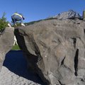 P1070194.jpg