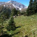 IMG_1341.jpg
