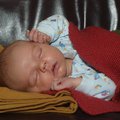 PB291027.jpg