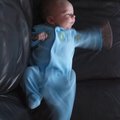 PC061217.jpg