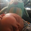 IMG_0117.jpg
