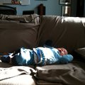 IMG_0275.jpg