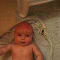 IMG_0282.jpg