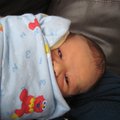 IMG_1984.jpg