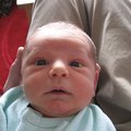 IMG_2017.JPG