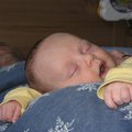 IMG_2198.jpg