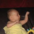 IMG_2268.jpg