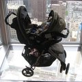 IMG_2334.jpg