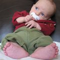 IMG_2403.jpg